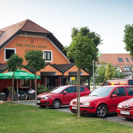 Guest House Pri Treh Lipah Ptuj Exterior foto