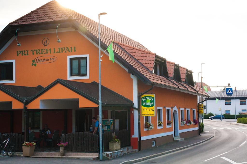 Guest House Pri Treh Lipah Ptuj Exterior foto